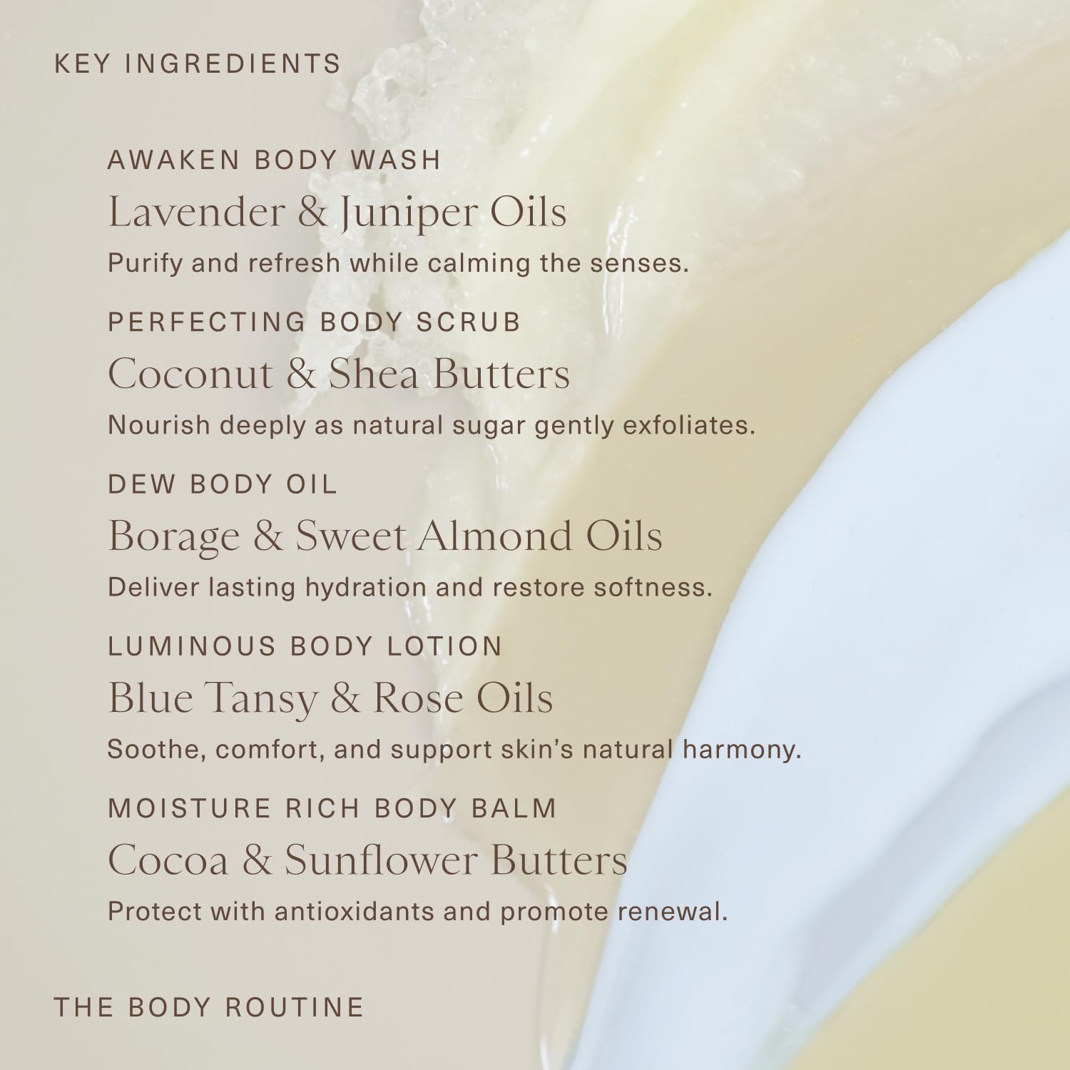 Oak Essentials The Body Routine, 5Piece Body Care Set, Full Sizes Gallery Photo 4